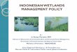 INDONESIAN WETLANDS MANAGEMENT POLICY - Ramsar …archive.ramsar.org/pdf/cop11/Pre COP11 Asia Reg mtg PDFs... · indonesian wetlands management policy ... rawa aopa watumohai np,