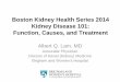Boston Kidney Health Series 2014 Kidney Disease 101 ...kdsap.org/KDSAP-BKHS/2014 bkhs/2014-01 BWH Kidney Disease 101.pdf · •Chronic kidney disease – a public health problem •Kidney