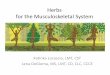 Herbs for the Musculoskeletal System - arborvitaeny.com fileHerbs for the Musculoskeletal System Katinka Locascio, LMT, CST Lena DeGloma, MS, LMT, CD, CLC, CCCE