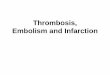 Thrombosis, Embolism, Infarction - University Of Illinois · lower extremity venous thrombosis), pulmonary hypertension (from recurrent subclinical pulmonary emboli), stroke, bowel