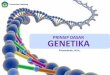 PRINSIP DASAR GENETIKA - Staff Official Site Unilastaff.unila.ac.id/priyambodo/files/2015/...Prinsip-Dasar-Genetika.pdf · Hukum Mendel (I) The Law of Segregation states that when