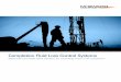 Completion Fluid Loss Control Systems - Schlumberger/media/Files/miswaco/brochures/wp-fluid-loss... · The SAFE-LINK* completion fluid loss control agent provides an easily formulated