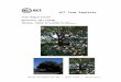 ACT Tree Register · Web viewThis magnificent oak rises over the surrounding homes. It is a sound and healthy tree with a symmetrical, dense canopy and has the unique characteristic