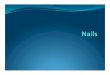Nail%Biology:% The%Nail%Apparatus% - Dermatology/Nails.ppt.pdf · Nail%Biology:% The%Nail%Apparatus%