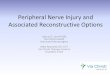 Peripheral Nerve Injury and Associated Reconstructive Optionskotaonline.org/events/conference/2016/Handouts/OT Peripheral nerve... · Peripheral Nerve Injury and Associated Reconstructive
