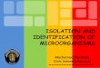 ISOLATION AND IDENTIFICATION OF MICROORGANISMS · ISOLATION AND IDENTIFICATION OF MICROORGANISMS ... Deteksi Escherichia coli Deteksi Salmonellaspp. Deteksi Coliform & E. coli Deteksi
