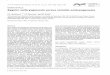 Zygotic embryogenesis versus somatic embryogenesismeicenrd/pdevlmnt/Dodeman1997... · 2007-09-17 · Journal of Experimental Botany, Vol. 48, No. 313, pp. 1493-1509, August 1997 Journal