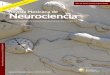 Revista Mexicana de Neurociencia - revmexneuroci.comrevmexneuroci.com/wp-content/uploads/2018/07/RevMexNeuroci_2018... · an infectious origin (transverse myelitis), four cases with