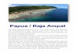 Papua / Raja Ampat - tlsea.comtlsea.com/pdf-files/papuarajaampat2020.pdf · Papua / Raja Ampat. Papua (Raja Ampat) Indonesia has been one of our all-time favorite dive destinations