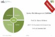 Carbon Risk Management (CARIMA - vfu.de · Industry Portfolio Mean Return (monthly) ... Carbon Risiko Reports •(Fonds) Portfolio Allokation basierend auf CRF Volas oder Value-at-risks