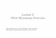 Lecture 2: DNA Microarray Overview - … RNA Protein DNA RNA (messenger) Protein cell Gene Expression •Proteins do most of the work •They’re dynamically created/destroyed •So