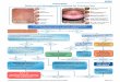 URTIARIA Referral and Management Pathway for Primary are · NWAIN Referral and management pathway for Urticaria; March 2018 Page 3/4 NOTES ontinued hronic urticaria and angioedema