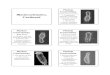 Phylum Gastrotricha Blastocoelomates, 1. Triploblastic ...jan.ucc.nau.edu/~bio221-c/docs/LecturePdfs/Lec25.pdf · 6 Phylum Kinorhyncha General Characteristics: 2. Triploblastic, bilaterally
