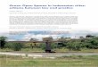 Green Open Spaces in Indonesian cities: schisms between ... · Jakarta, Yogyakarta and Semarang. In planning GOSs, a long-term is necessary but contrary to business In planning GOSs,