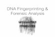 DNA Fingerprinting Background - Norwell High School · DNA Fingerprint & Genetic Profiling DNA fragments show unique patterns from one person to the next. A technique used by scientists