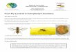 Fruit Fly Control is Everybody’s Business - aamiafrica.comaamiafrica.com/.../uploads/2017/10/Fruit-Fly-Control-Leaflet.pdf · Fruit Fly Control is Everybody’s Business The New