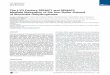 Cell Metabolism Article - Carl S. Thummel Labthummel.genetics.utah.edu/publications/YuSdhaf3CellMeta2014.pdf · Cell Metabolism Article The LYR Factors SDHAF1 and SDHAF3 Mediate Maturation