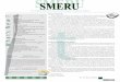 The SMERU Research Institute/Lembaga Penelitian SMERU … · the price of goods between regions. However, there are also two drawbacks to this approach. Firstly, the basket of food