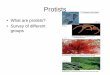 What are protists? • Survey of different groupsguralnl/101Protists.pdf · Phylogenetic tree • Diverse collection of organisms in the domain Eukarya • Not plant, animal or fungus