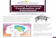 Sensory processing, coordination and attachment Article · RE C E IVE , PRO C E S S , RE S PO ND Sensory Processing is the body's ability to r e ce iv e sensory information into the