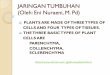 JARINGAN TUMBUHAN (Oleh: Eni Nuraeni, M. Pd) - file.upi.edufile.upi.edu/.../BAHAN_AJAR/JARINGAN_TUMBUHAN.pdf · jaringan tumbuhan (oleh: eni nuraeni, m. pd) plants are made of three