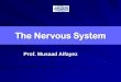 The Nervous System - ksumsc.com. Foundation Block/Male...Objectives At the end of the lecture, the students should be able to: List the subdivisions of the nervous system Define the