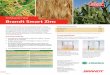 Fertilizante Foliar Brandt Smart Zinc · Se aplicaron 2,3 litros/ha de BRANDT SMART ZINC en mezcla de tanque con herbicida postemergente (fenoxaprop-p-ethyl) en arroz en estadío