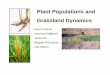 Plant Populations and Grassland Dynamics - Konza Prairie Population Ecology.pdf · Plant Populations and Grassland Dynamics David Hartnett Harmony Dalgleish Jackie Ott Maipelo N’Guessan