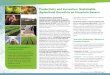 Productivity and Innovation: Sustainable Agricultural ... and... · 10 Global Harvest Initiative | 2016 GAP Report® Productivity and Innovation: Sustainable Agricultural Growth in