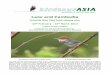 Laos and Cambodia - Birdtour Reports/Birdtour Asia Laos and...Laos and Cambodia Oriental Bird Club fund-raising