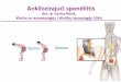 Ankilozirajući spondilitisors.rs/wp-content/uploads/SpA-za-pacijente-KRAJ.pdfgenetska predispozicija (HLA-B27 +) češća pojava kod osoba muškog pola (ankilozirajući spondilitis