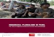 INDONESIA: Pluralism in Peril - Stop The Persecutionstopthepersecution.org/.../2016/07/indonesia-pluralism-in-peril.pdf · Bahasa Indonesia official language of Indonesia. ... Indonesia: