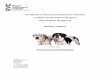 Certificate in Advanced Veterinary Practice C SAS.6 Small ... Orthopaedic... · Certificate in Advanced Veterinary Practice C-SAS.6 Small Animal Surgery Orthopaedic Surgery A 