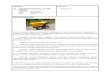 206. PEDESTRIAN CONTROLLED MINI 8704.90 210 DUMPER … - LATEST/Ketetapan Kastam Ogos... · 87.09 -Works trucks, self-propelled, not fitted with lifting or handling equipment, of