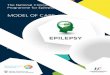 MODEL OF CARE · 2 The National Clinical Programme for Epilepsy: A new Model of Care for Epilepsy patients in Ireland ... 12 5 ED Care pathway for Seizure 