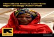 Strategy Action Plan Template - International Rescue Committee · measles, meningitis, and malaria. Furthermore, systematic discrimination against women and ... THE IRC IN NIGER: