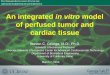 An integrated in vitro model of perfused tumor and cardiac tissue … integrated in... · An integrated in vitro model of perfused tumor and cardiac tissue Steven C. George, M.D.,