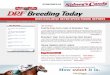 Breeding Today - Daily Racing Formstatic.drf.com/PDFs/breeding/today/102813.pdf · breeding today top stories sponsored by monday, october 28, 2013 top beyers with exclusive beyer