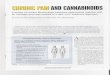 elJl~D)JJ 1 rJ1HJ AND CANNABINOIDS - cbd-five.com Pain and... · fibromyalgia isa syndrome of wide-spread muscle pain (over 3 months) and stiffness with 11 or more characteristic