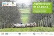 Agroforestry in England - soilassociation.org · Agroforestry has the potential to deliver multiple benefits for productive, resilient and environmentally integrated farm systems