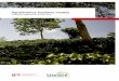 Agroforestry business models - unique- .Agroforestry business models | 5 Agroforestry business models