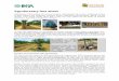 Agroforestry fact sheet - ULisboa · Agroforestry fact sheet Agroforestry is the mixture of trees and crops in cultivated parcels. It was a traditional system in both tropical and
