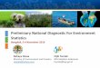 Preliminary National Diagnostic For Environment Statistics · (Sisnerling) Experimental Sisnerling Green Economy •Land account: Sumatera Land cover & Land use accounts (physical)
