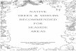 NATIVE TREES & SHRUBS RECOMMENDED FOR SEASIDE AREAS · NATIVE TREES & SHRUBS RECOMMENDED FOR SEASIDE ... Melaleuca alternifolia Paperbark ... Melaleuca leucadendra Broadleaved tea-tree