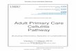 Adult Primary Care Cellulitis Pathway Documents/Cellulitis... · Pri mary Ca re Cell uli tis Pathway 3 Cellulitis Pathway Version 11 – March 2015 PAGL Inclusion Approved at January