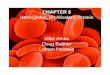 Hemoglobin, an Allosteric Protein Mike Ames Doug Balmer ...dbalmer/eportfolio/hemoglobin.pdfhemoglobin. Besides the 15º twist, use one word to describe a difference between the two