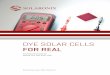 Dye Solar Cells for Real - Solaronix · Dye Solar Cells for Real | Foreword Dye Solar Cells for Real | 5 Thank you for reading our guide to Dye Solar Cell (DSC) as-sembly. This tutorial