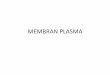 MEMBRAN PLASMA - alphaeasy.files.wordpress.com · Protein membran •Transport •Aktivitas enzimatik •Transduksi sinyal •Penggabungan interseluler •Pengenalan sel •Pelekatan