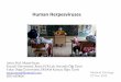 Human Herpesviruses - Near East Universitydocs.neu.edu.tr/staff/murat.sayan/5.ders, Medical Virology,27 Nov 2015_6.pdf · Human Herpesviruses Assoc.Prof. Murat Sayan Kocaeli Üniversitesi,