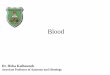 Blood - dentistryju2017.weebly.com · Lymphopoiesis: the process which produces lymphocytes Monocytopoiesis: the process which produces monocytes Blood Cell Formation (Hematopoiesis)